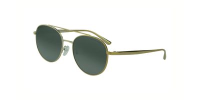 MICHAEL KORS 1021 SOLAR 11686G 53