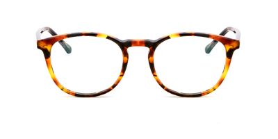 JACK & FRANCIS FENTON RX FR217 UNICO
