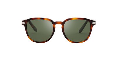 S.FERRAGAMO 993S SOLAR 214 53