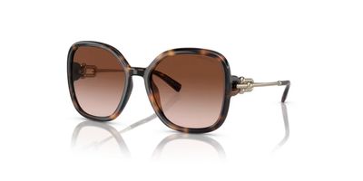 TIFFANY 4202U SOLAR 80153B 57