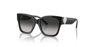TIFFANY 4216 SOLAR 80013C 54