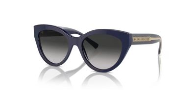 TIFFANY 4220 SOLAR 83963C 54