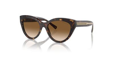TIFFANY 4220 SOLAR 801551 54