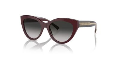 TIFFANY 4220 SOLAR 83893C 54