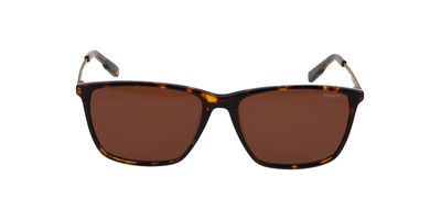 HACKETT 3349 SOLAR 101 58