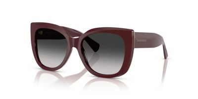TIFFANY 4229 SOLAR 83893C 55