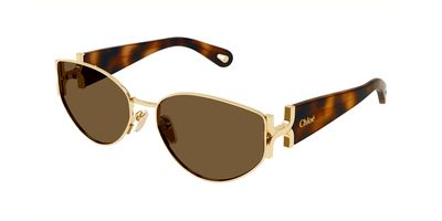CHLOE 0260S SOLAR 002 59