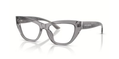 DOLCE & GABBANA 3412 RX 3160 53