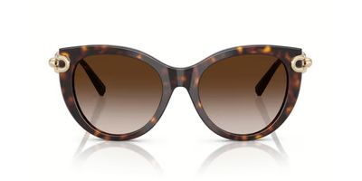 TIFFANY 4232 SOLAR 80153B 53