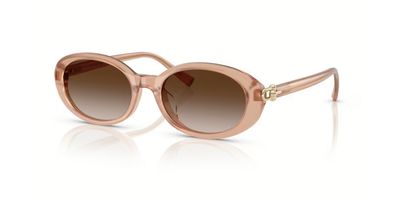 TIFFANY 4242D SOLAR 82683B 54