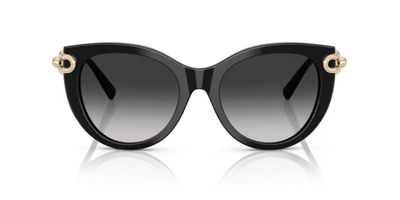 TIFFANY 4232 SOLAR 80013C 53