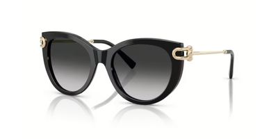 TIFFANY 4232 SOLAR 80013C 53