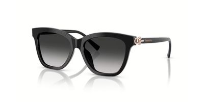 TIFFANY 4241D SOLAR 80013C 54