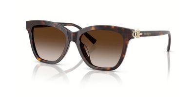 TIFFANY 4241D SOLAR 80153B 54