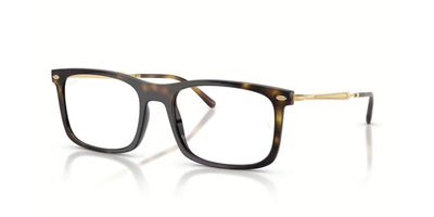 R. BAN 7260 RX 2012 56